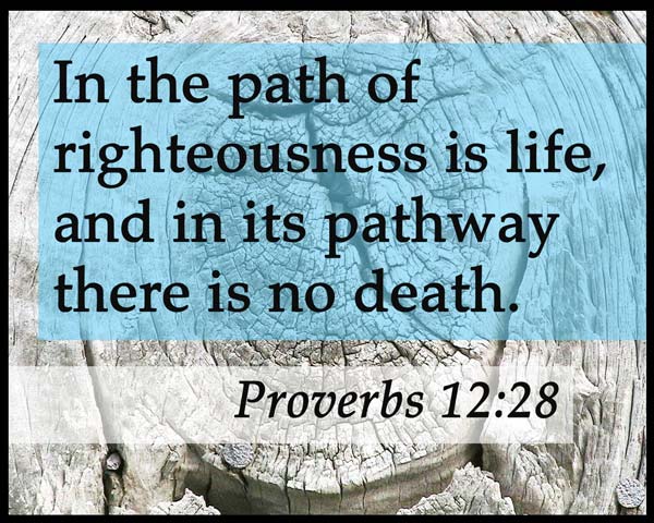 funerals-bible-verse