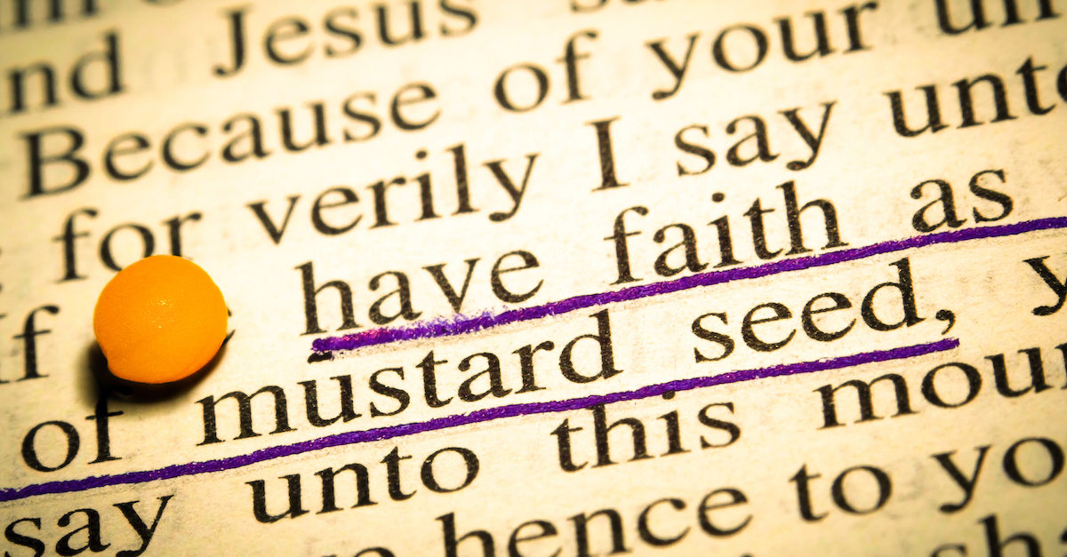 The Growing Mustard Seed